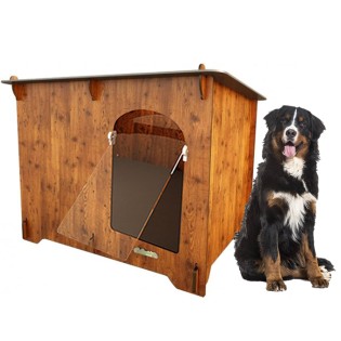 Berni pásztorkutya kennel