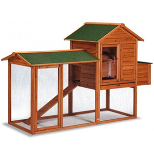 Tyúkólak, kifutók