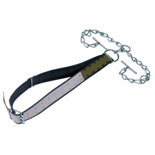 Szarvasmarha nyakörvek és kötőfékek