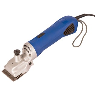 Szarvasmarha-gondozás