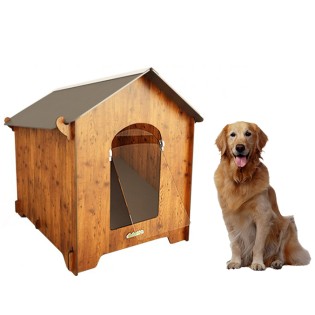 Golden Retriever Kennel