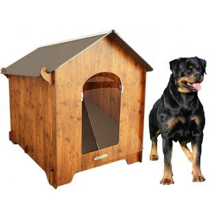 Rottweiler stand