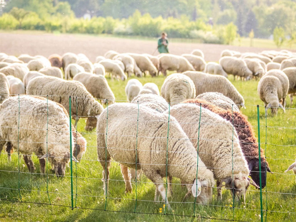 Elektromos kerítésháló juhoknak, kecskéknek KERBL 27328 TITANNET 108 cm ...