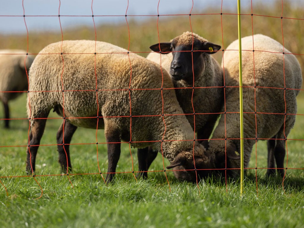 Elektromos kerítés birkáknak KERBL 27903 108 cm x 50 m / 2 tüske ...